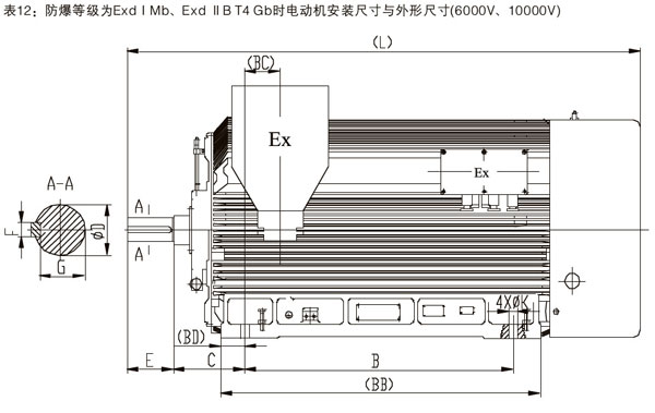 YBX3系列高效率高壓隔爆型三相異步電動(dòng)機(jī)